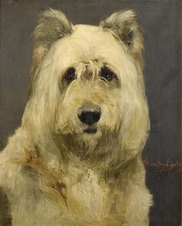 Portrait of a Dog By Charles van den Eycken