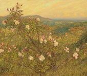 Neglected Roses Provence By Henry Herbert la Thangue