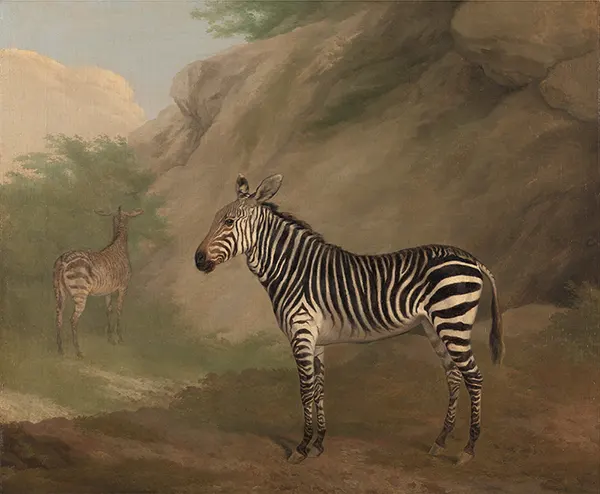Zebra 1803 By Jacques-Laurent Agasse