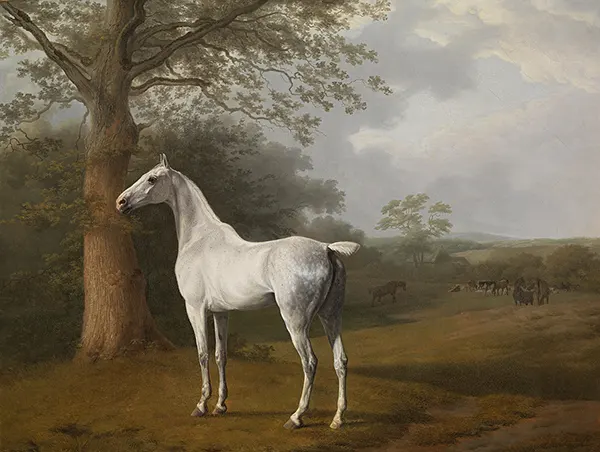 White Horse in Pasture 1 1806 By Jacques-Laurent Agasse
