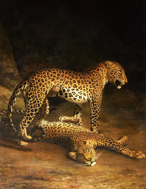 Two Leopards Lying in the Exeter 1808 By Jacques-Laurent Agasse