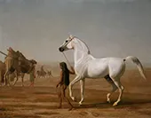 The Wellesley Grey Arabian Led Through the Desert 1810 By Jacques-Laurent Agasse