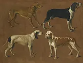 Study of Four Pointers By Jacques-Laurent Agasse
