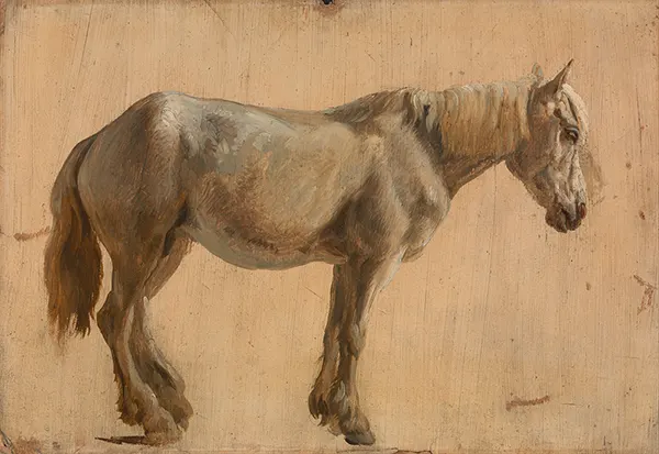 Study of a Grey Horse 1800 By Jacques-Laurent Agasse
