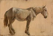 Study of a Grey Horse 1800 By Jacques-Laurent Agasse