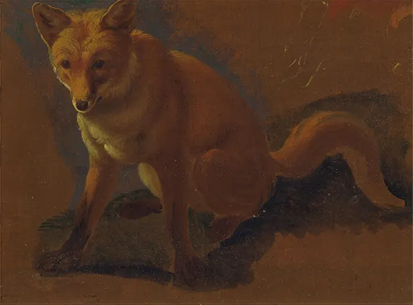 Study of a Fox c1810 By Jacques-Laurent Agasse