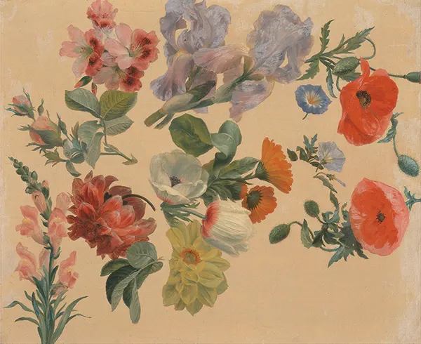 Studies of Summer Flowers 1848 By Jacques-Laurent Agasse