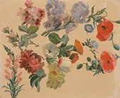 Studies of Summer Flowers 1848 By Jacques-Laurent Agasse