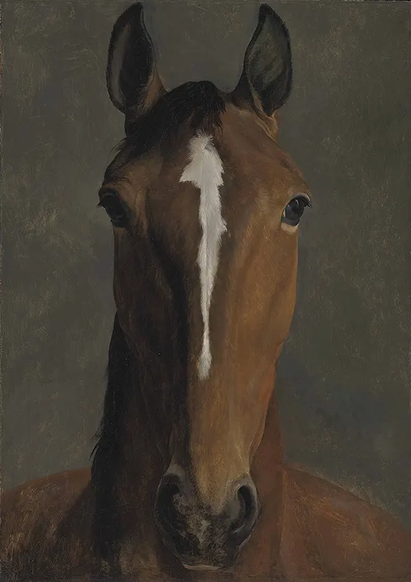 Head of a Bay Horse By Jacques-Laurent Agasse