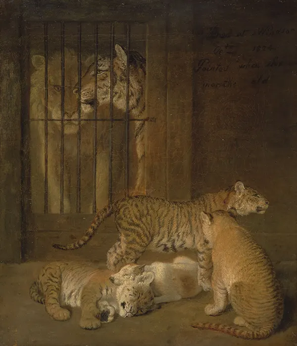 Group of Whelps Bred between a Lion and a Tigress 1825 By Jacques-Laurent Agasse