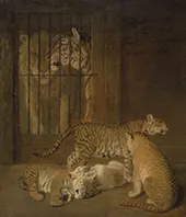 Group of Whelps Bred between a Lion and a Tigress 1825 By Jacques-Laurent Agasse