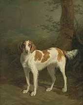 Dash a Setter in a Wooded Landscape 1816 By Jacques-Laurent Agasse