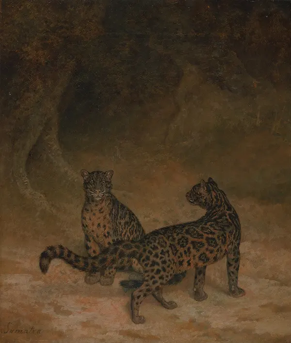 Clouded Leopards 1825 By Jacques-Laurent Agasse