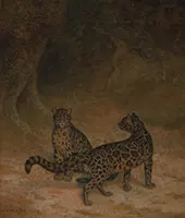 Clouded Leopards 1825 By Jacques-Laurent Agasse