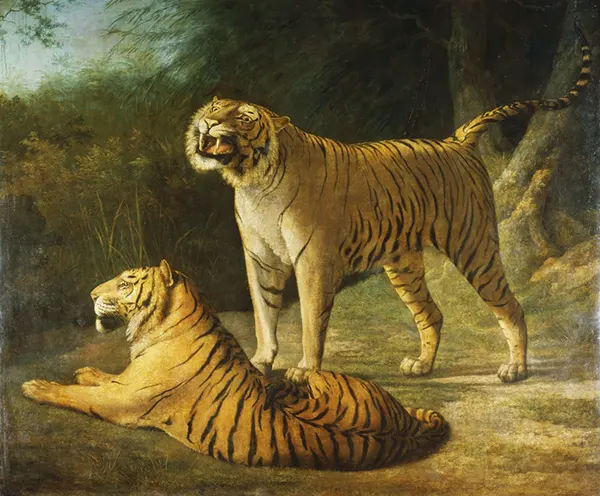 A Tiger and Tigress at the Exeter 1808 By Jacques-Laurent Agasse