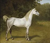 An Arab Stallion in a Landscape 1790 By Jacques-Laurent Agasse