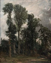 Trees at Hampstead 1821 By John Constable
