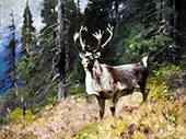Woodland Stag By Carl Rungius