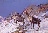 Caribou in the Mountains c1920 By Carl Rungius