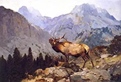 Elk Near Fremont Peak 1903 By Carl Rungius