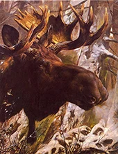 Moose Attracted Hunters By Carl Rungius