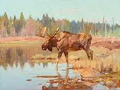 Moose in Marshland By Carl Rungius