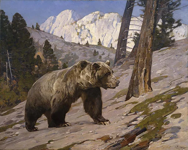 Silver Tip Grizzly Bear Rocky Mountains Alberta c1923 By Carl Rungius