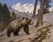 Silver Tip Grizzly Bear Rocky Mountains Alberta c1923 By Carl Rungius