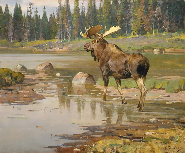 Wyoming Moose Wind River 1925 By Carl Rungius