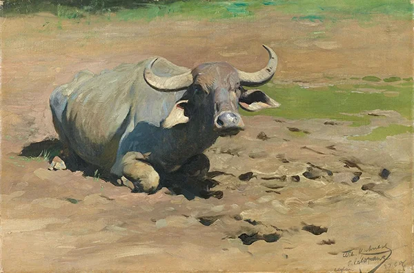 A Resting Buffalo By Wilhelm Kuhnert