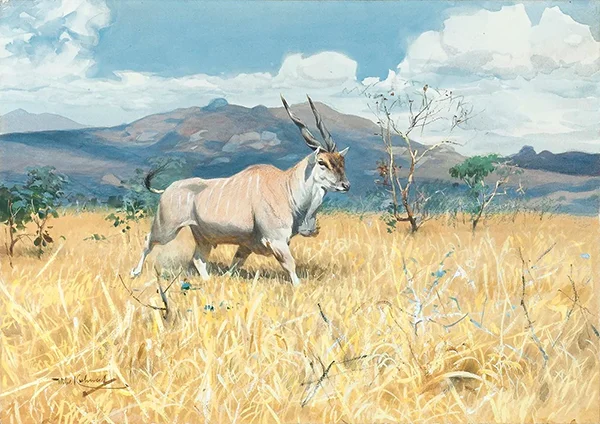 Eland Antilope By Wilhelm Kuhnert