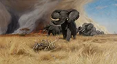 Elephants c1917 By Wilhelm Kuhnert