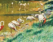 Flamingos By Wilhelm Kuhnert