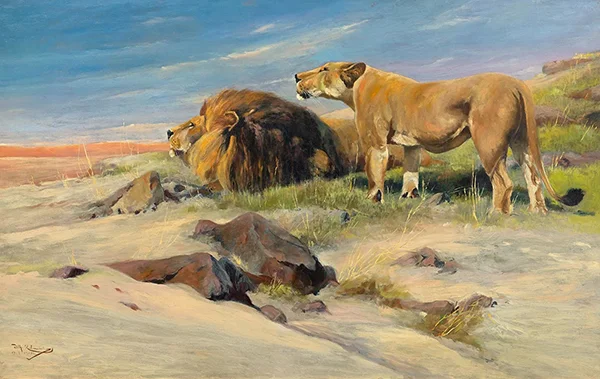 Lion Couple in the Steppe 1905 By Wilhelm Kuhnert