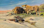 Lion Couple in the Steppe 1905 By Wilhelm Kuhnert