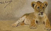 Lion Cub By Wilhelm Kuhnert