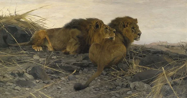 Lions at Watch 1913 By Wilhelm Kuhnert