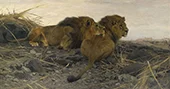 Lions at Watch 1913 By Wilhelm Kuhnert