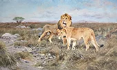Lions on the Plains of Africa By Wilhelm Kuhnert