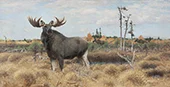 Moose on a Swedish Moor By Wilhelm Kuhnert