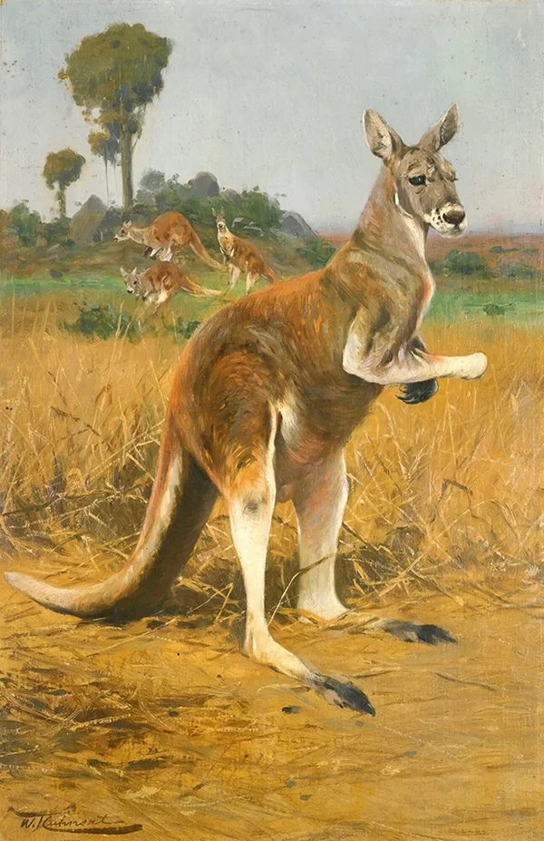 Red Kangaroos in the Outback By Wilhelm Kuhnert
