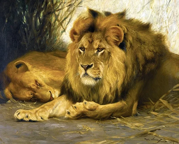 Resting Lion 1913 By Wilhelm Kuhnert
