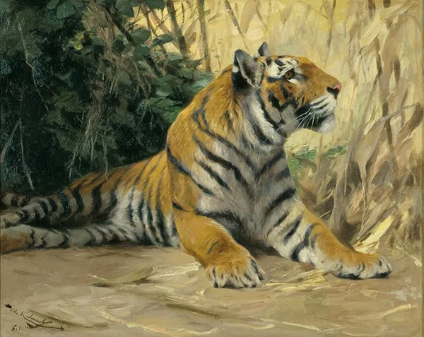 Resting Tiger By Wilhelm Kuhnert