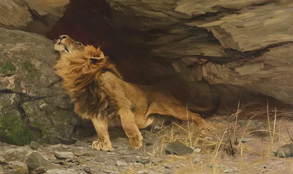 The Lion's Awakening By Wilhelm Kuhnert