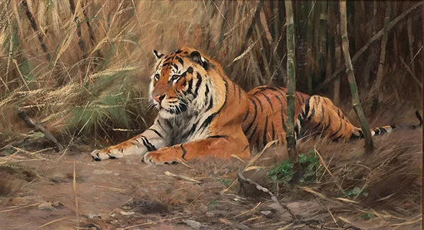 The Watchful Tiger By Wilhelm Kuhnert