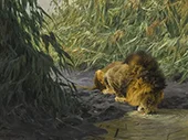Thirst c1917 By Wilhelm Kuhnert