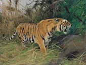 Tiger and its Prey By Wilhelm Kuhnert
