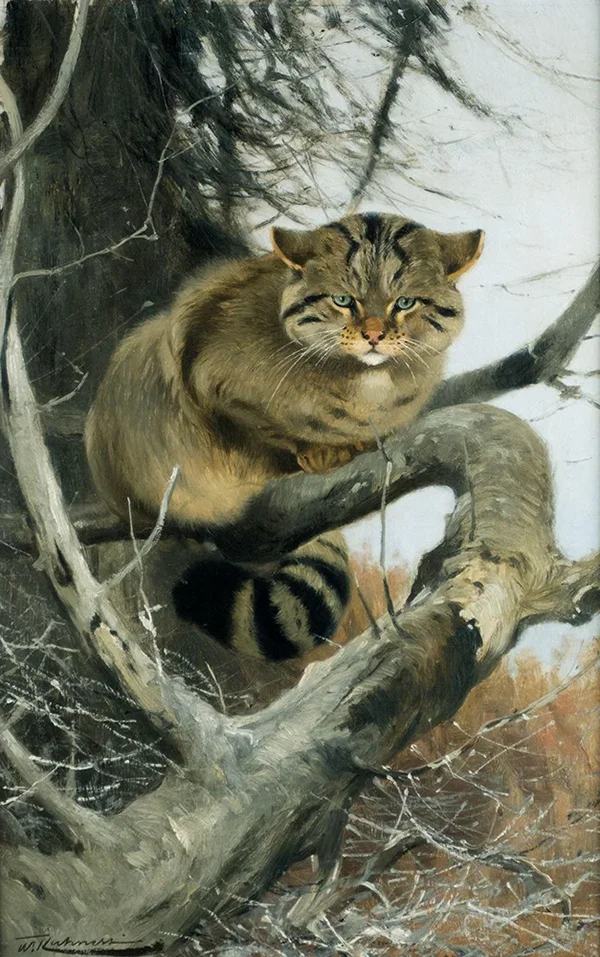 Wildcat in a Tree By Wilhelm Kuhnert
