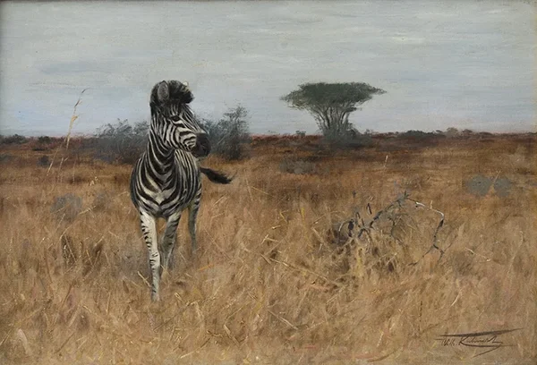Zebra By Wilhelm Kuhnert