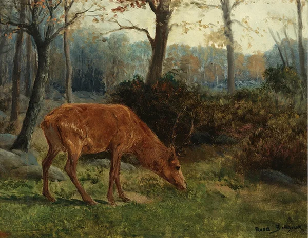 A Deer Grazing By Rosa Bonheur